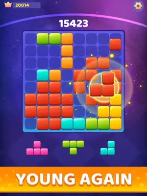 Block Zone android App screenshot 3